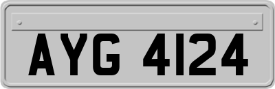 AYG4124