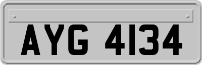 AYG4134