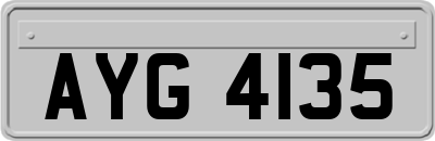 AYG4135