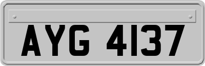 AYG4137