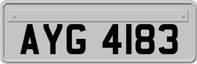 AYG4183