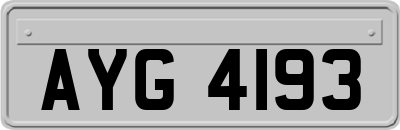 AYG4193