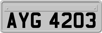 AYG4203