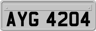 AYG4204