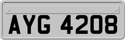 AYG4208