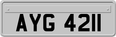 AYG4211