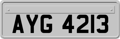 AYG4213