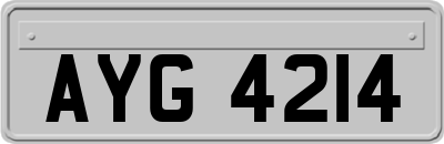 AYG4214