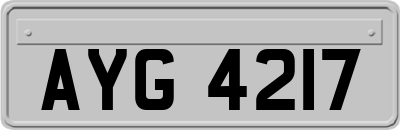 AYG4217