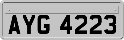 AYG4223