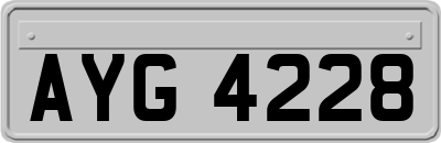 AYG4228