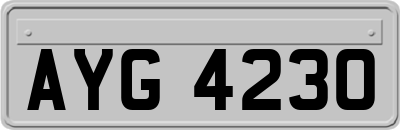 AYG4230