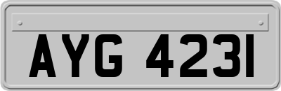AYG4231