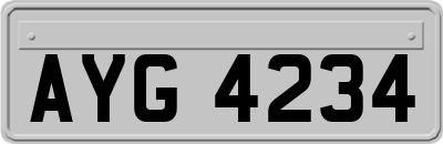 AYG4234