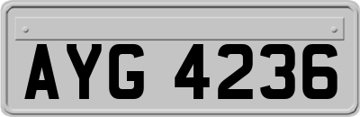 AYG4236