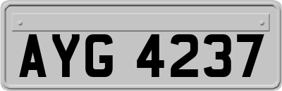 AYG4237