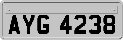 AYG4238