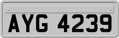 AYG4239