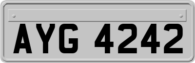AYG4242