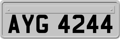 AYG4244