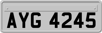 AYG4245