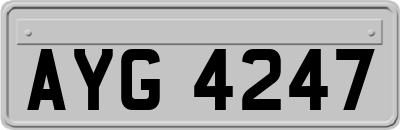 AYG4247