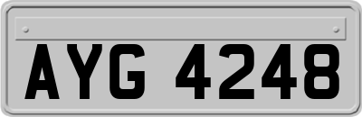 AYG4248
