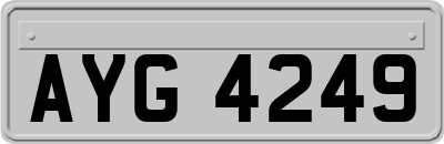 AYG4249