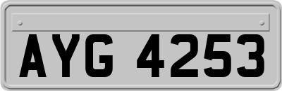 AYG4253