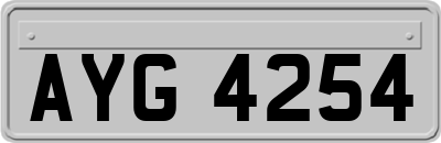 AYG4254