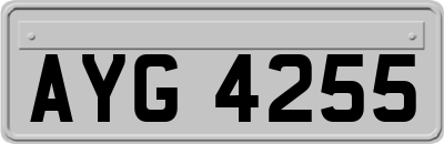 AYG4255