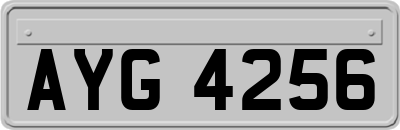 AYG4256