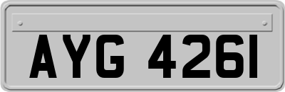 AYG4261