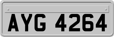 AYG4264