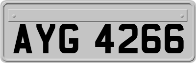 AYG4266