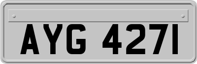 AYG4271