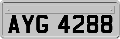AYG4288