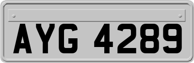 AYG4289