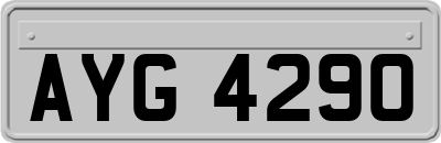 AYG4290
