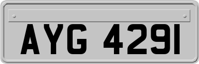 AYG4291