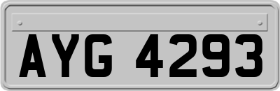 AYG4293