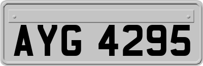 AYG4295