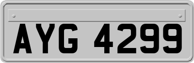 AYG4299