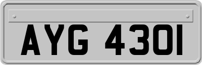 AYG4301