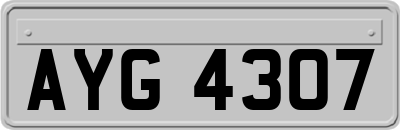 AYG4307