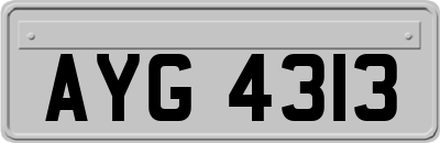 AYG4313