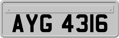 AYG4316