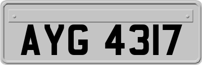 AYG4317
