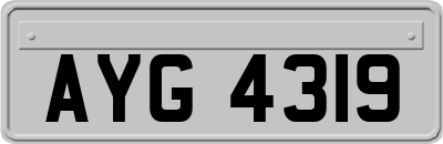 AYG4319