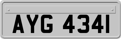 AYG4341